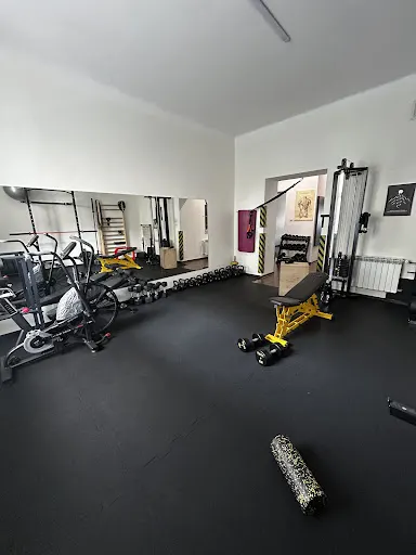 In Shape Studio Treningu